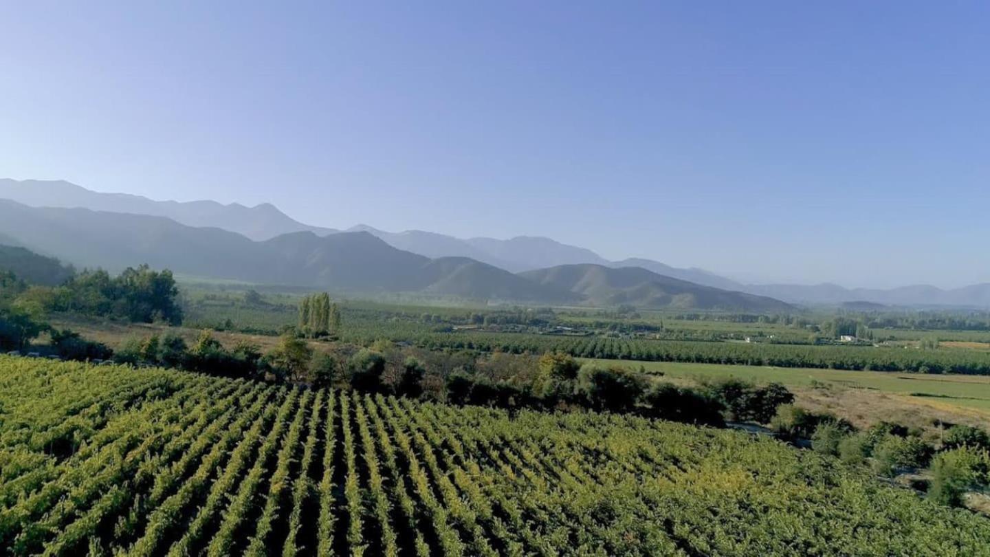 Vina Lof - Maipo Valley Bed & Breakfast In Winery Paine Εξωτερικό φωτογραφία