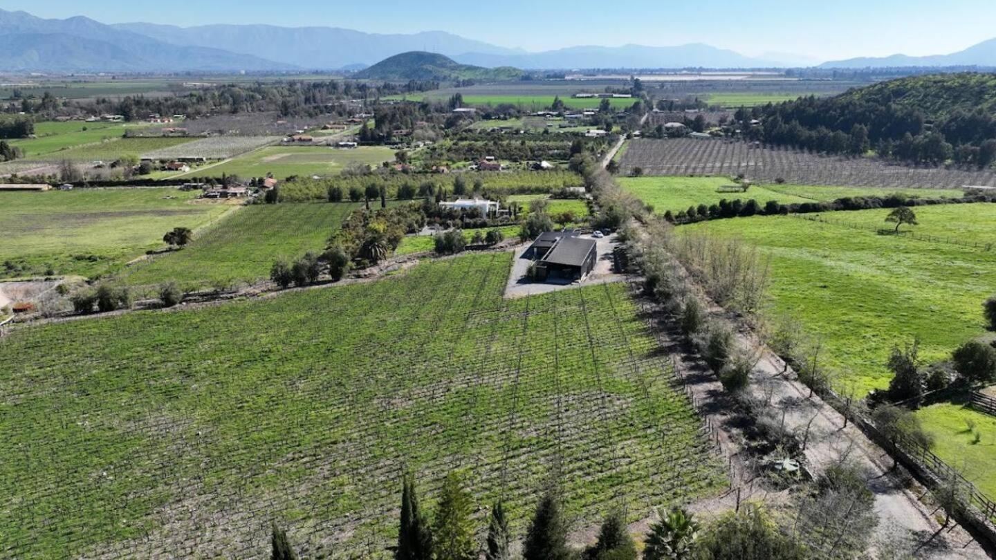 Vina Lof - Maipo Valley Bed & Breakfast In Winery Paine Εξωτερικό φωτογραφία