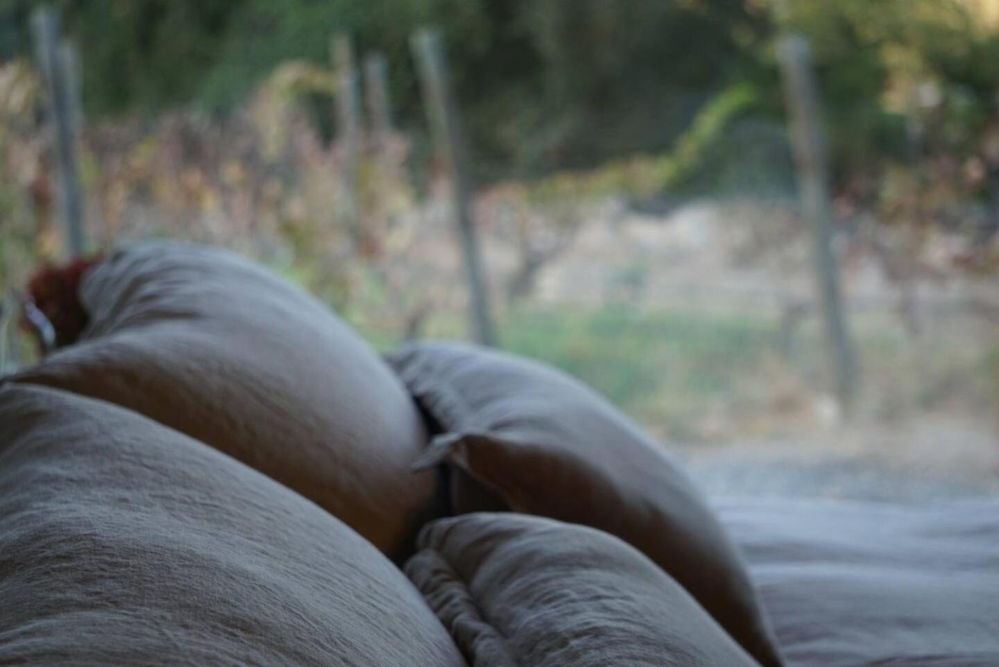 Vina Lof - Maipo Valley Bed & Breakfast In Winery Paine Εξωτερικό φωτογραφία