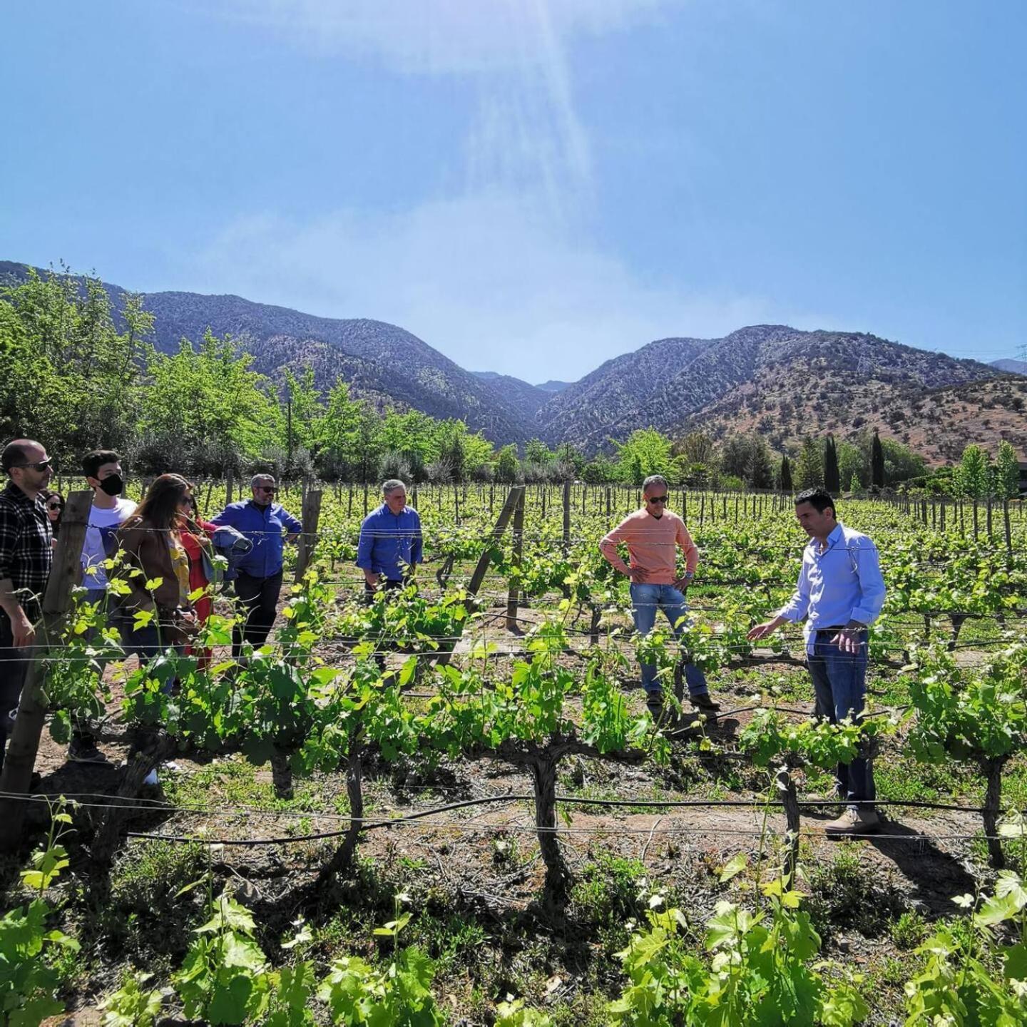 Vina Lof - Maipo Valley Bed & Breakfast In Winery Paine Εξωτερικό φωτογραφία