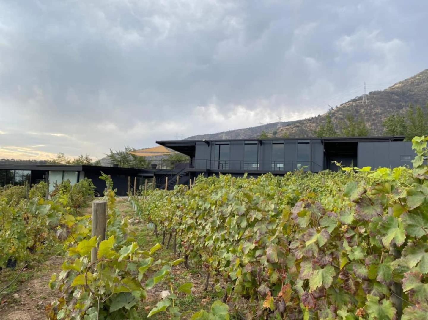 Vina Lof - Maipo Valley Bed & Breakfast In Winery Paine Εξωτερικό φωτογραφία