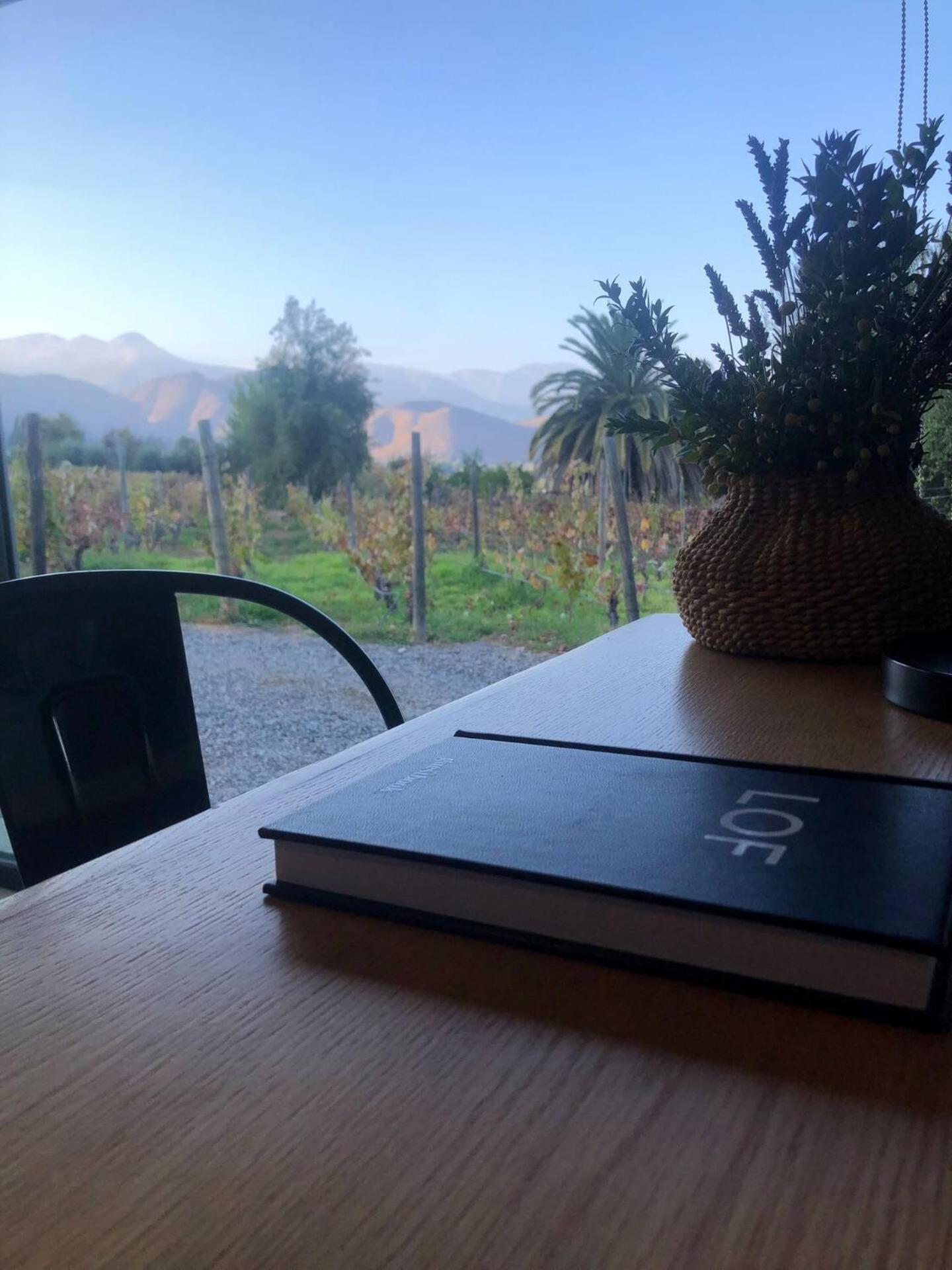 Vina Lof - Maipo Valley Bed & Breakfast In Winery Paine Εξωτερικό φωτογραφία