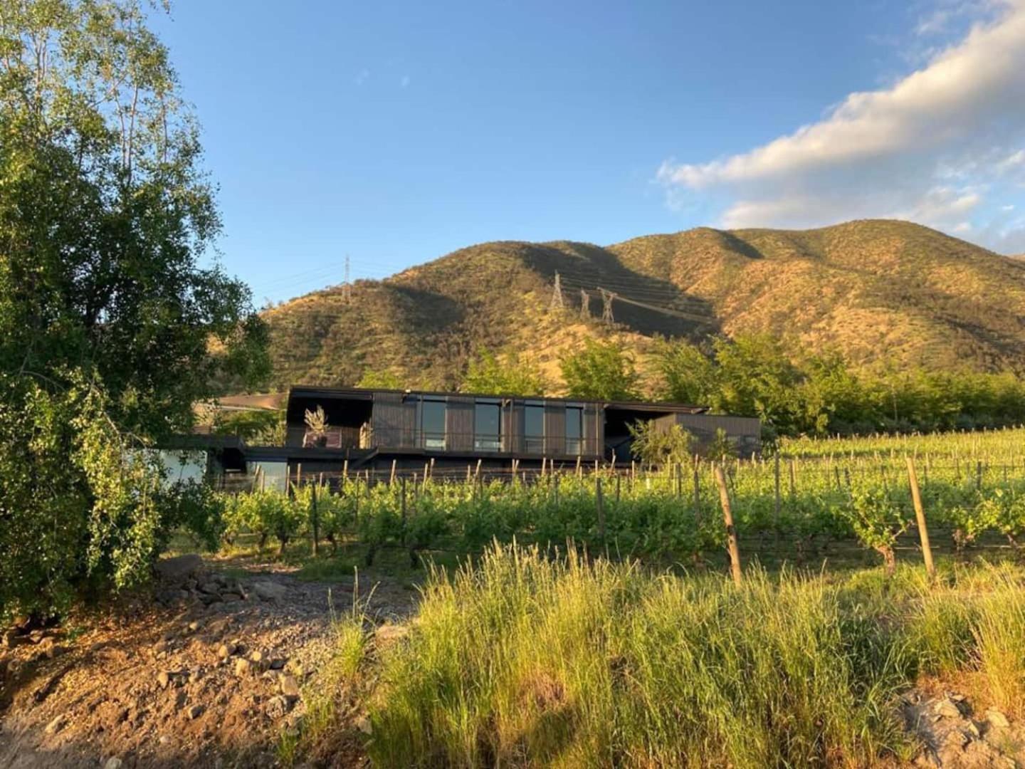 Vina Lof - Maipo Valley Bed & Breakfast In Winery Paine Εξωτερικό φωτογραφία